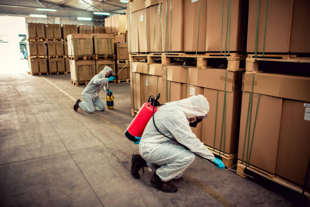 Best Local Pest Control Services  in Fountainebleau, FL