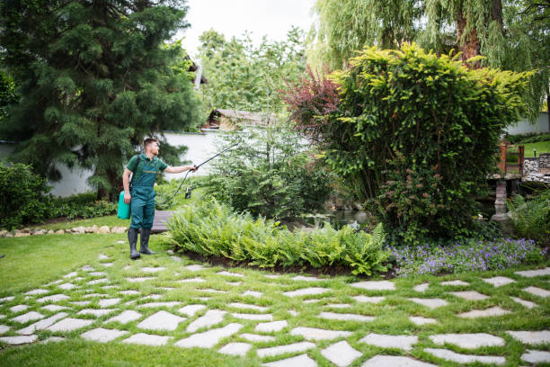 Best Mosquito Control Services  in Fountainebleau, FL