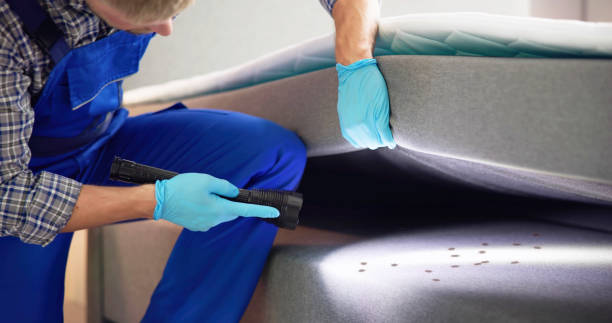 Best Bed Bug Extermination  in Fountainebleau, FL