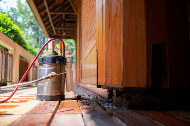 Best Pest Prevention Services  in Fountainebleau, FL