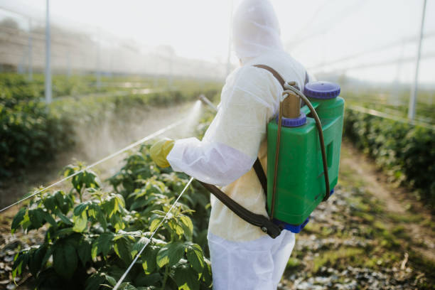 Best Wildlife Control Services  in Fountainebleau, FL